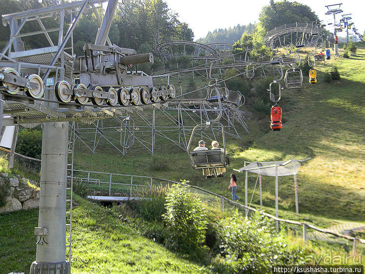 Альбом отзыва "Развлечения и злоключения в окрестностях Тодмоса"