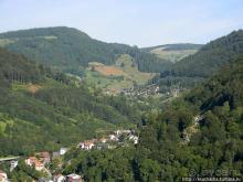 Альбом отзыва "Развлечения и злоключения в окрестностях Тодмоса"