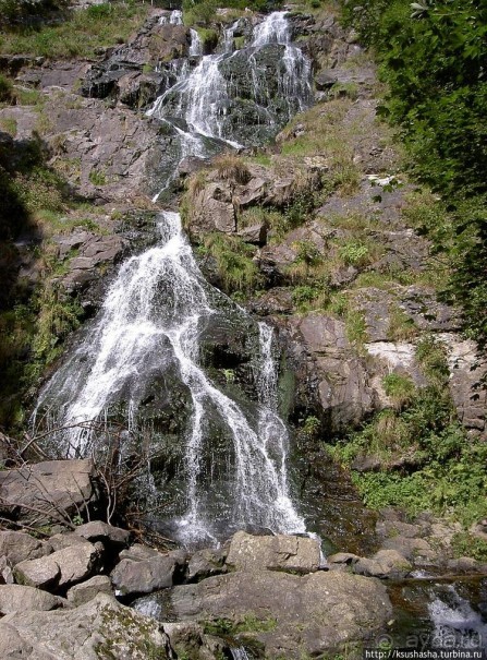 Альбом отзыва "Развлечения и злоключения в окрестностях Тодмоса"