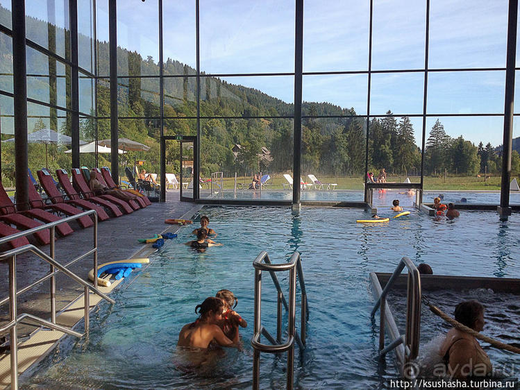 Альбом отзыва "Развлечения и злоключения в окрестностях Тодмоса"