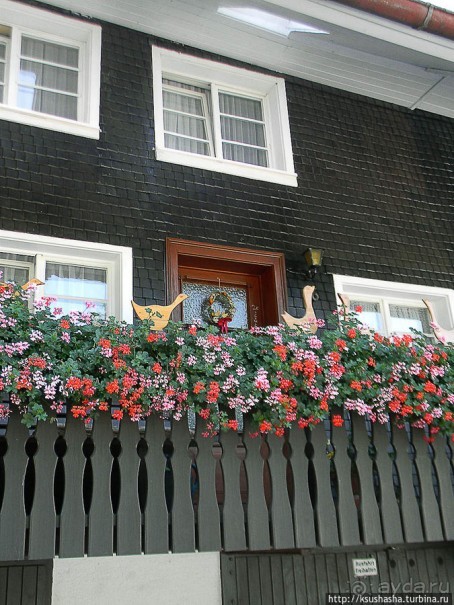 Альбом отзыва "Развлечения и злоключения в окрестностях Тодмоса"