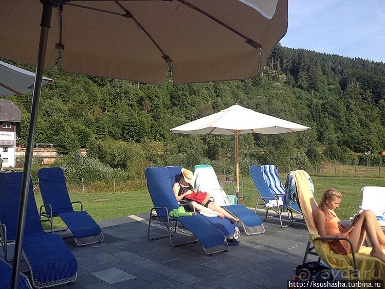 Альбом отзыва "Развлечения и злоключения в окрестностях Тодмоса"