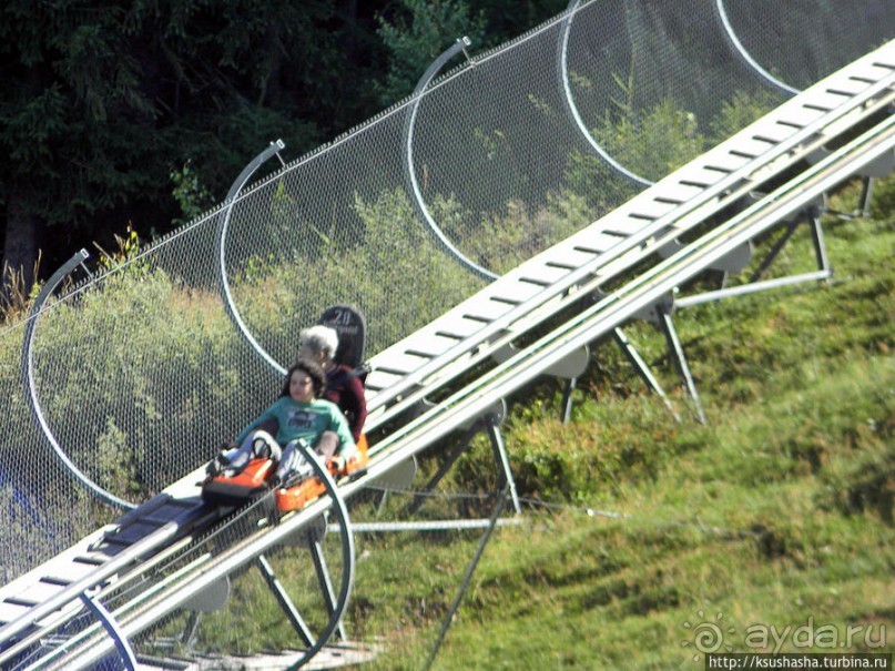 Альбом отзыва "Развлечения и злоключения в окрестностях Тодмоса"