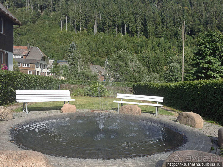 фото Шварцвальда