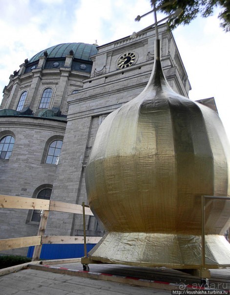 фото Шварцвальда