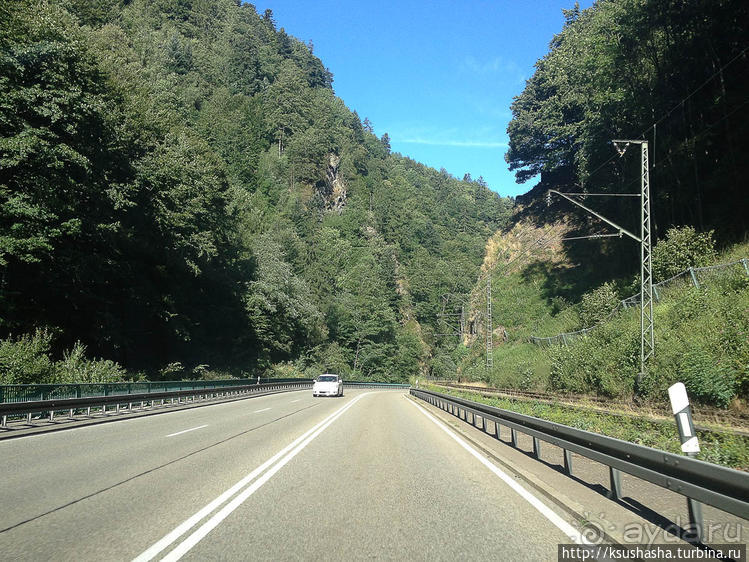 Альбом отзыва "Развлечения и злоключения в окрестностях Тодмоса"