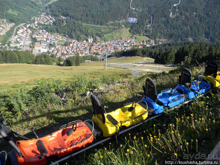 Альбом отзыва "Развлечения и злоключения в окрестностях Тодмоса"