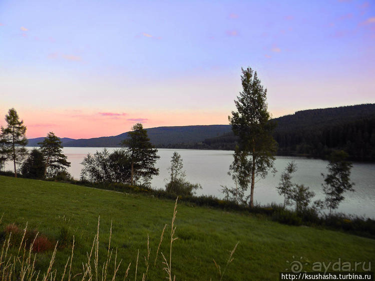 фото Шварцвальда