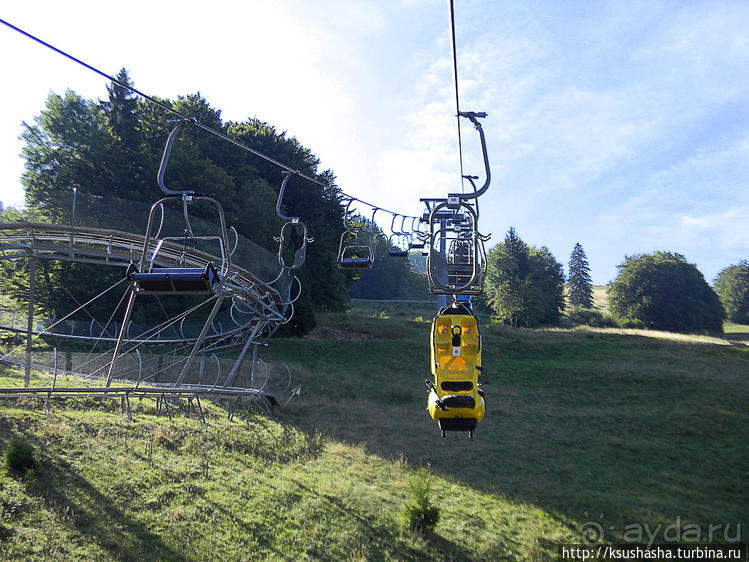 Альбом отзыва "Развлечения и злоключения в окрестностях Тодмоса"