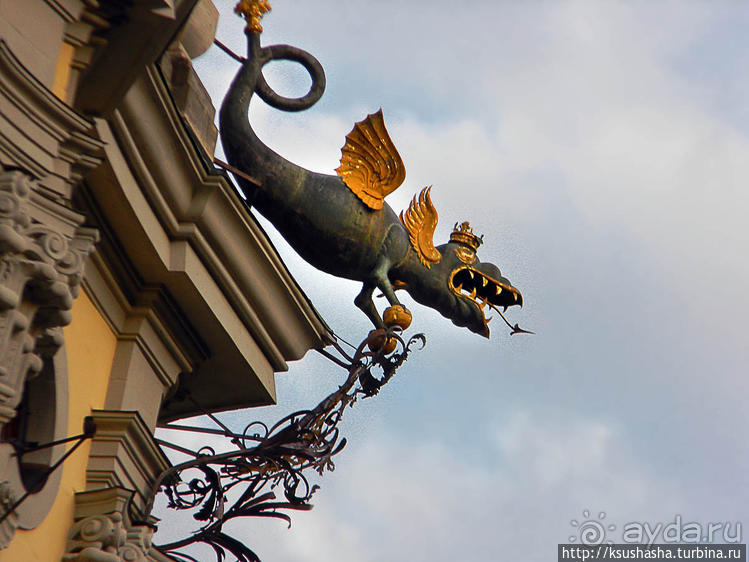 фото Шварцвальда