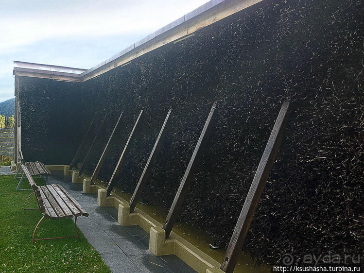 Альбом отзыва "Развлечения и злоключения в окрестностях Тодмоса"