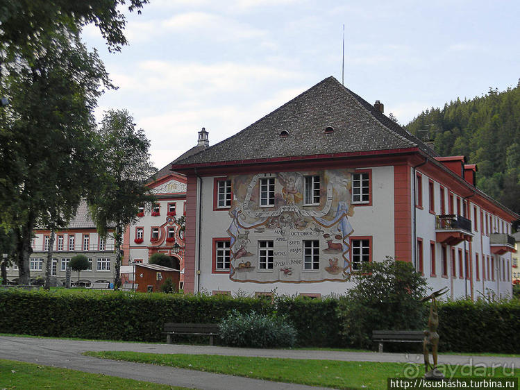 фото Шварцвальда