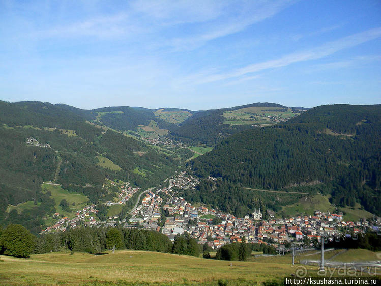 Альбом отзыва "Развлечения и злоключения в окрестностях Тодмоса"
