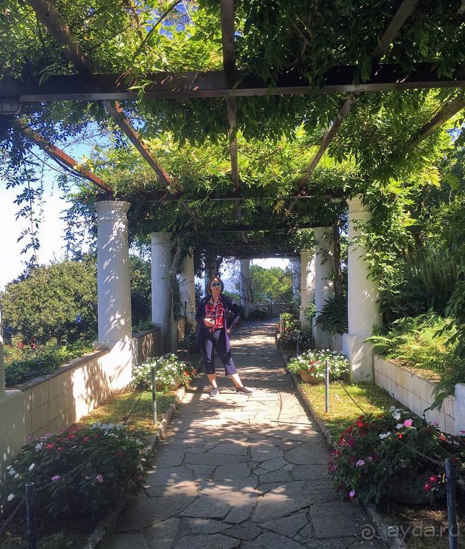 Внутри чужой мечты