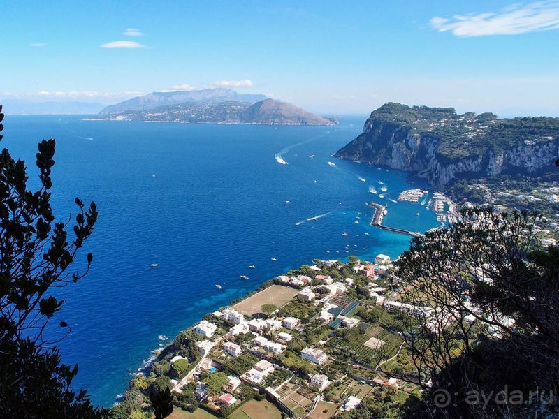 Внутри чужой мечты