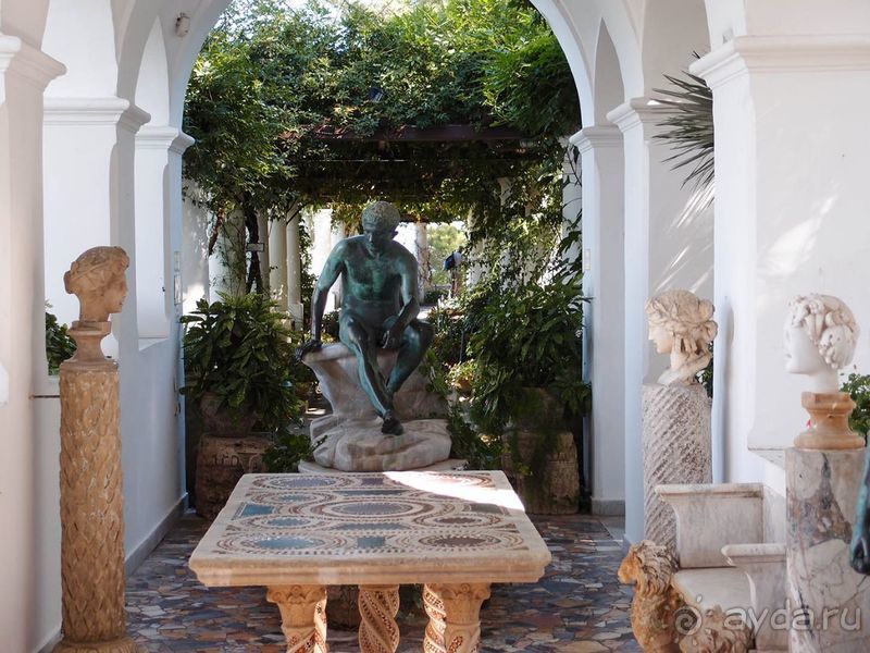 Внутри чужой мечты