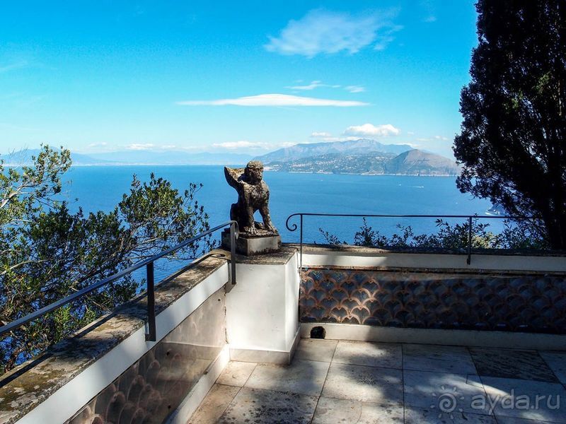 Внутри чужой мечты Внутри чужой мечты