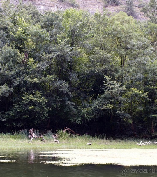 На лодке по Каньону Матка