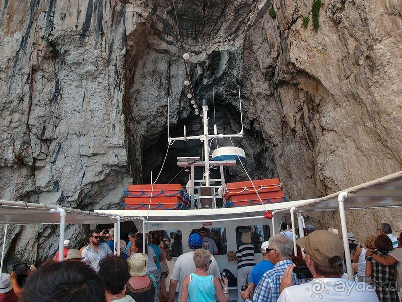 Антипаксос и все, все, все...