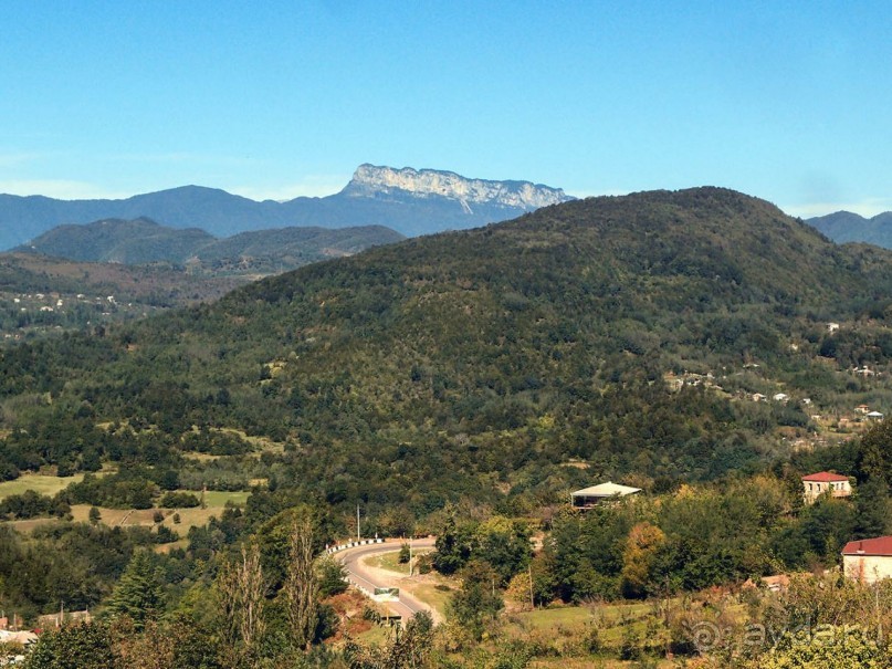 Задумчивый Гелати