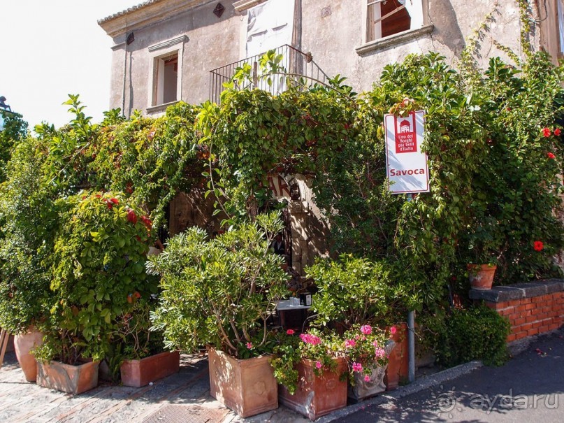 Киношная и подлинная, прекрасная Савока