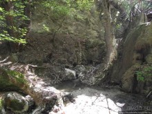 Последняя бабочка в долине Петалудес