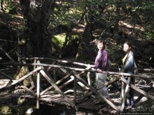 Последняя бабочка в долине Петалудес