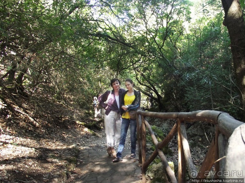 Последняя бабочка в долине Петалудес