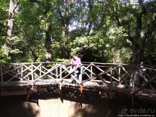 Последняя бабочка в долине Петалудес