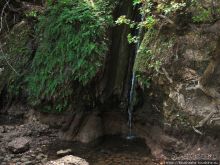 Последняя бабочка в долине Петалудес