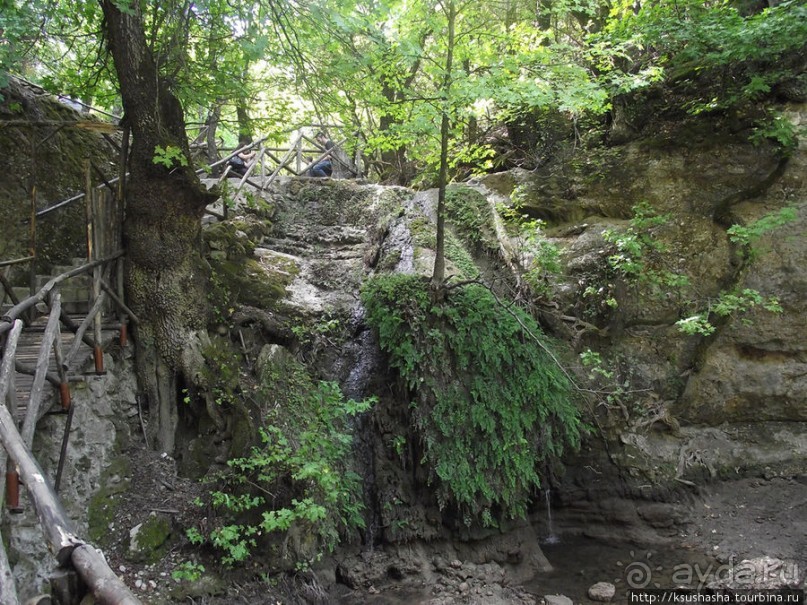 Последняя бабочка в долине Петалудес