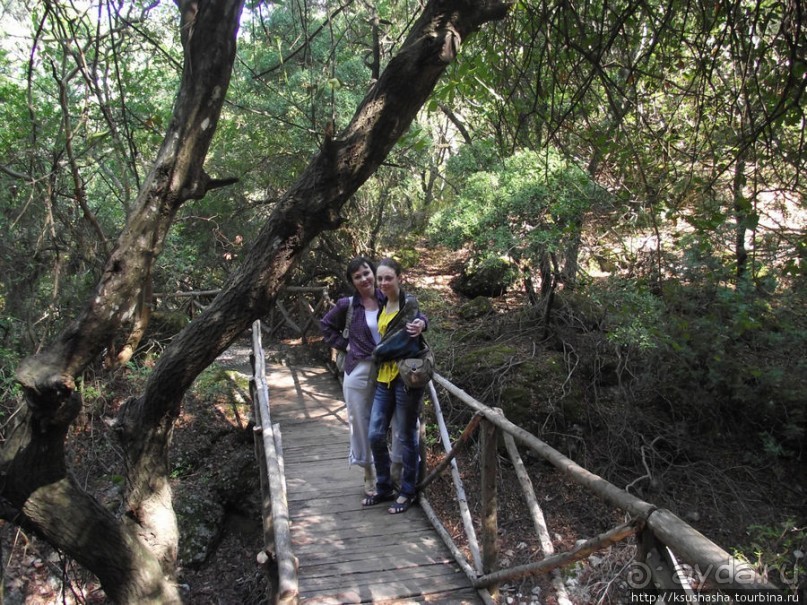 Последняя бабочка в долине Петалудес