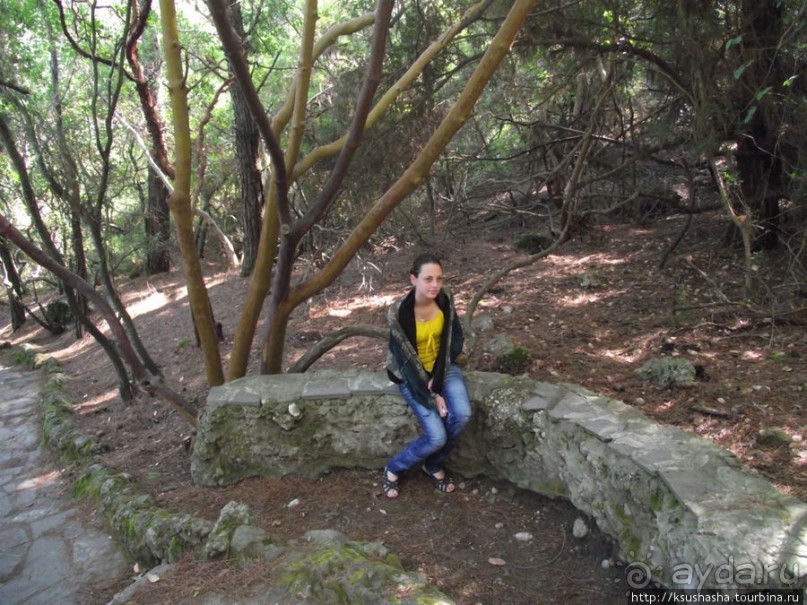 Последняя бабочка в долине Петалудес