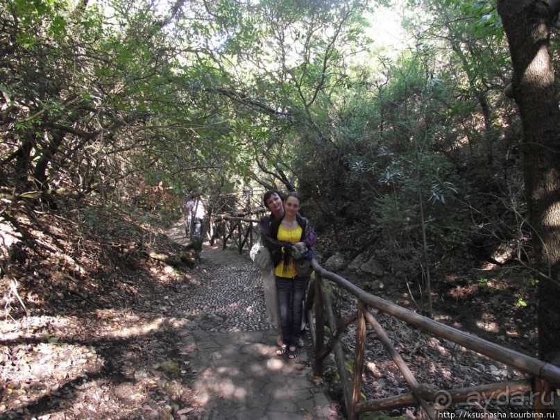 Последняя бабочка в долине Петалудес