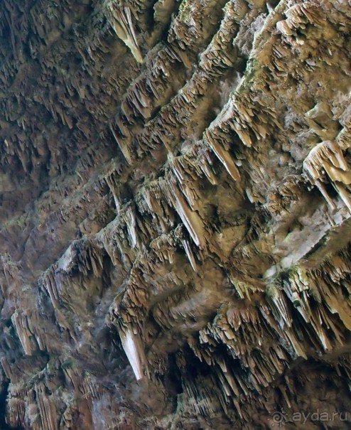 Альбом отзыва "Подземные дворцы Апулии"