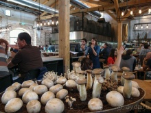 Наши аттракционы