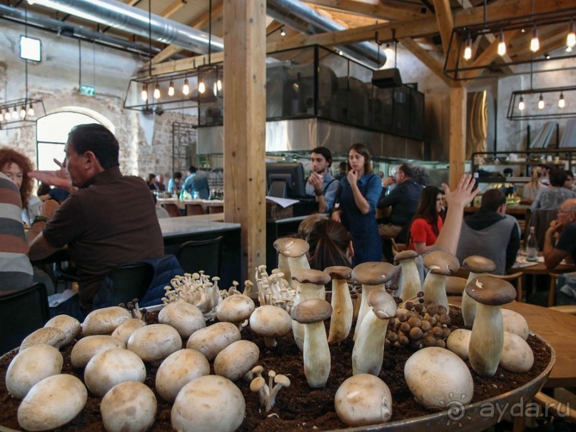 Наши аттракционы