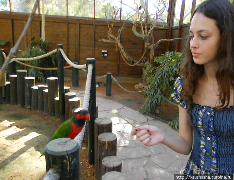 Ган Гуру — австралийский зоопарк в Израиле