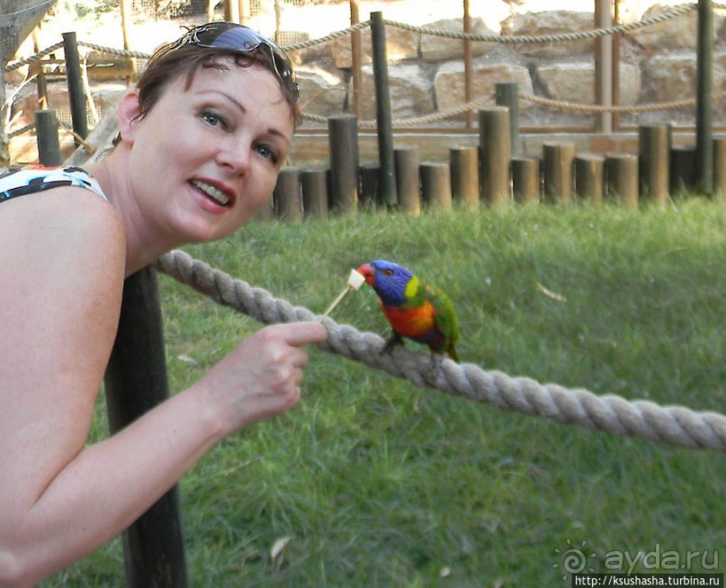 Ган Гуру — австралийский зоопарк в Израиле