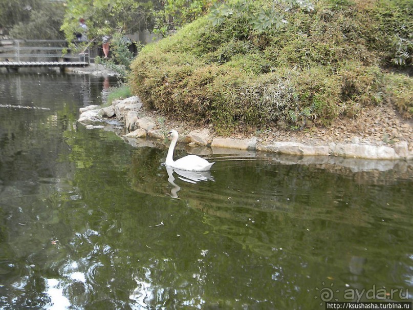 Ган Гуру — австралийский зоопарк в Израиле