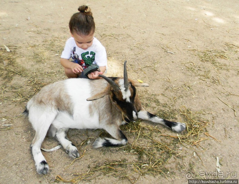 Ган Гуру — австралийский зоопарк в Израиле