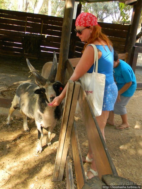 Ган Гуру — австралийский зоопарк в Израиле