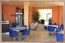 фото Магнолия