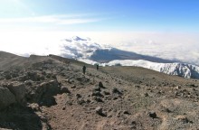 На белой крыше черного континента