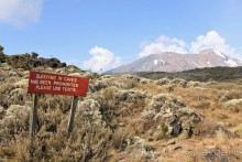 На белой крыше черного континента