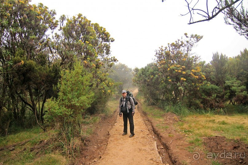 На белой крыше черного континента