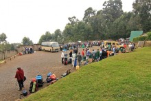 На белой крыше черного континента