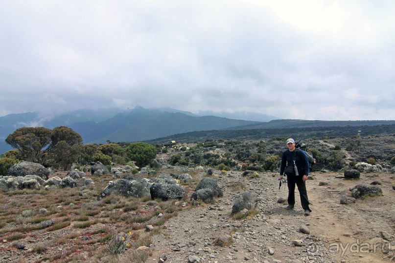 На белой крыше черного континента