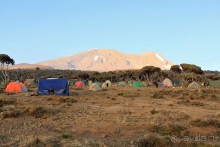 На белой крыше черного континента