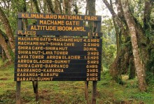 На белой крыше черного континента